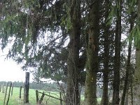 Troisvierges 11.2.2016 089