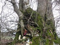 Troisvierges 11.2.2016 112