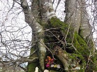 Troisvierges 11.2.2016 113