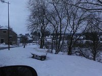 DSC00184