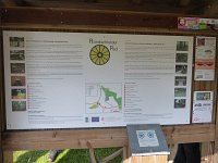 Rindschleiden 8.6.2016 017