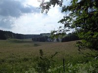 Rindschleiden 8.6.2016 035