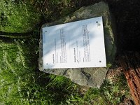 Rindschleiden 8.6.2016 036