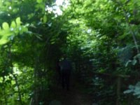 Rindschleiden 8.6.2016 043