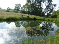 Rindschleiden 8.6.2016 059
