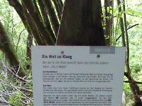 Rindschleiden 8.6.2016 064