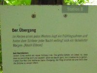 Rindschleiden 8.6.2016 076