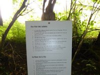Rindschleiden 8.6.2016 098