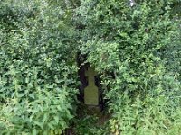 Troisvierges 11.7.2016 003