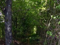 Troisvierges 11.7.2016 009