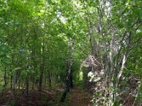 Troisvierges 11.7.2016 011