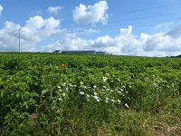 Troisvierges 18.7.2016 048