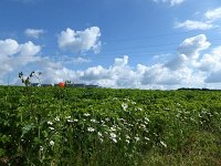 Troisvierges 18.7.2016 049