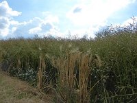 Troisvierges 18.7.2016 060