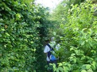 Troisvierges 18.7.2016 084