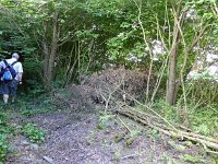 Troisvierges 18.7.2016 085