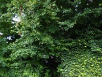 Troisvierges 18.7.2016 086