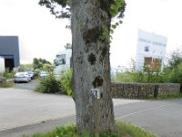 Troisvierges 18.7.2016 090