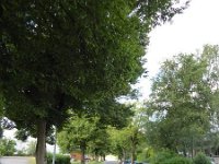 Troisvierges 18.7.2016 091