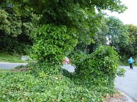 Troisvierges 18.7.2016 096