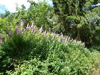 Troisvierges 18.7.2016 128