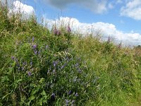 Troisvierges 18.7.2016 151
