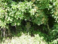 Troisvierges 18.7.2016 152