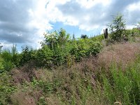 Troisvierges 18.7.2016 155