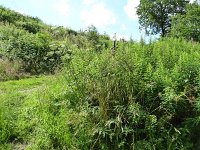 Troisvierges 18.7.2016 158
