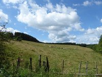 Troisvierges 18.7.2016 159