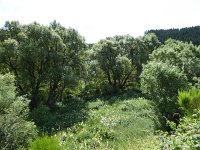 Troisvierges 18.7.2016 169