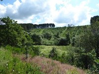Troisvierges 18.7.2016 173