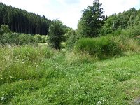 Troisvierges 18.7.2016 175