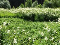 Troisvierges 18.7.2016 179