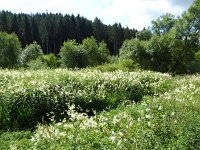 Troisvierges 18.7.2016 181