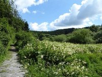Troisvierges 18.7.2016 182