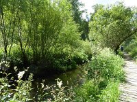 Troisvierges 18.7.2016 183