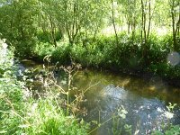 Troisvierges 18.7.2016 184