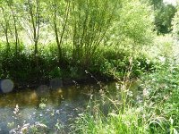 Troisvierges 18.7.2016 185