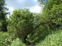 Troisvierges 18.7.2016 186
