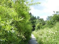 Troisvierges 18.7.2016 188