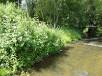 Troisvierges 18.7.2016 193
