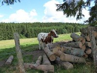 Troisvierges 18.7.2016 207
