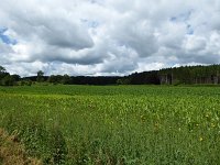 Troisvierges 18.7.2016 221