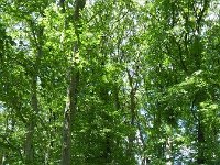 Troisvierges 18.7.2016 280