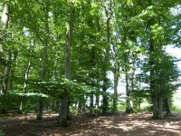 Troisvierges 18.7.2016 281