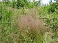 Troisvierges 18.7.2016 282