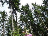 Troisvierges 18.7.2016 293