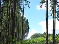 Troisvierges 18.7.2016 294