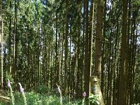 Troisvierges 18.7.2016 295